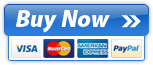 Secure Online Payments and Credit Card Processing by PayPro Global
